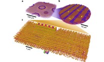 Chip imaging breakthrough aids defect detection