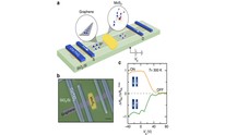 Researchers build graphene-based spintronics 'valve'