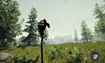 The Forest Review