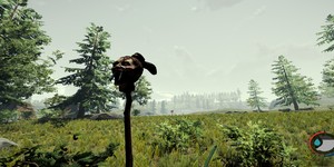 The Forest Review